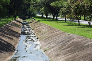 Concrete drainage canal beside the road. A small drainage canal for draining rainwater into a roadside septic pond on a royal green tree background with copy space. Selective focus